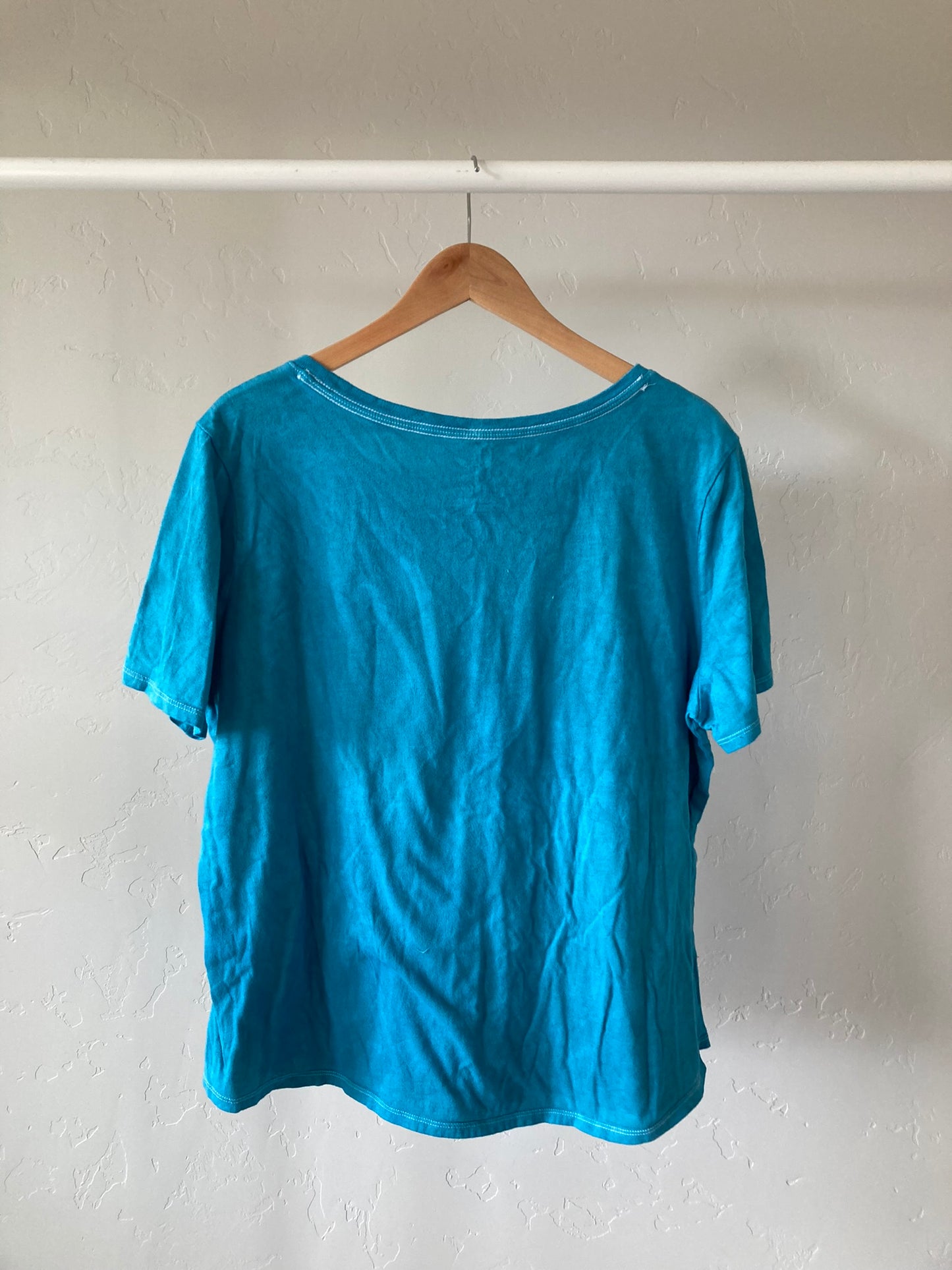Kingfisher Blue Tee- 2X