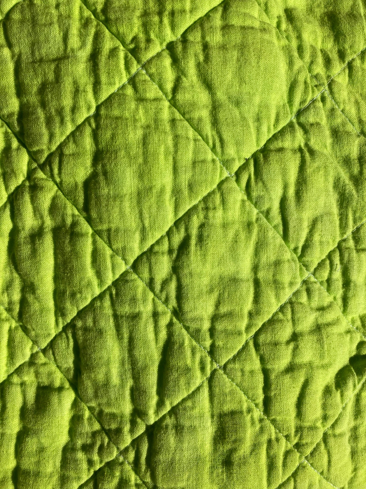 Close-up of lime green pet pillow top.