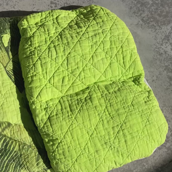 Video of 4 green pet pillows.