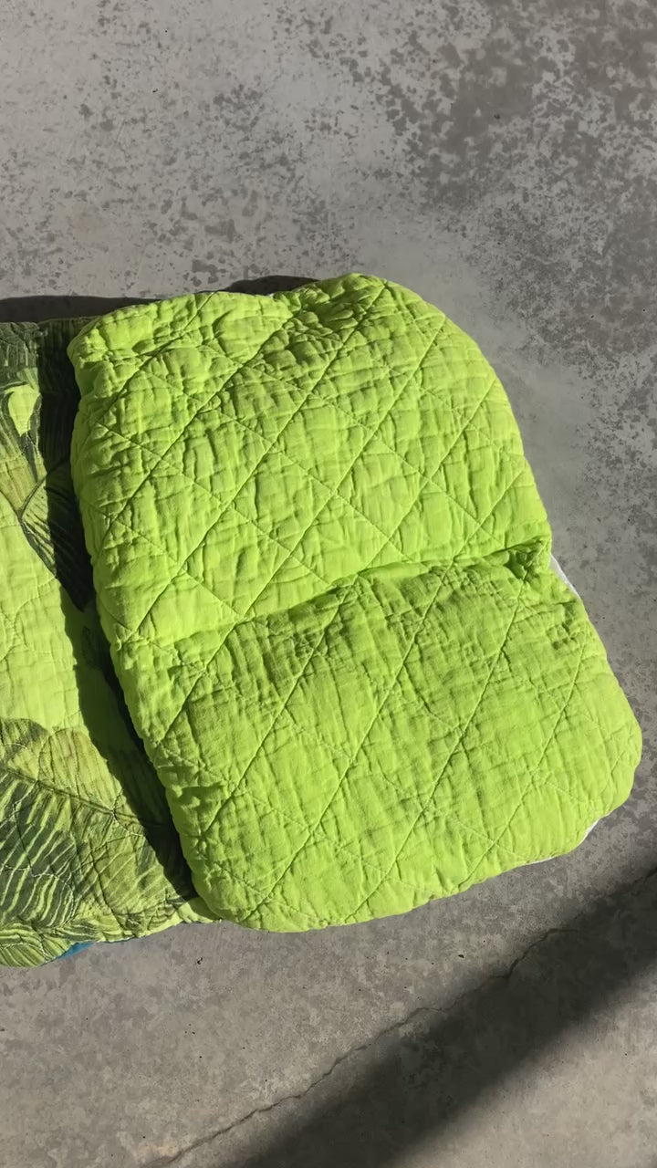 Video of 4 green pet pillows.