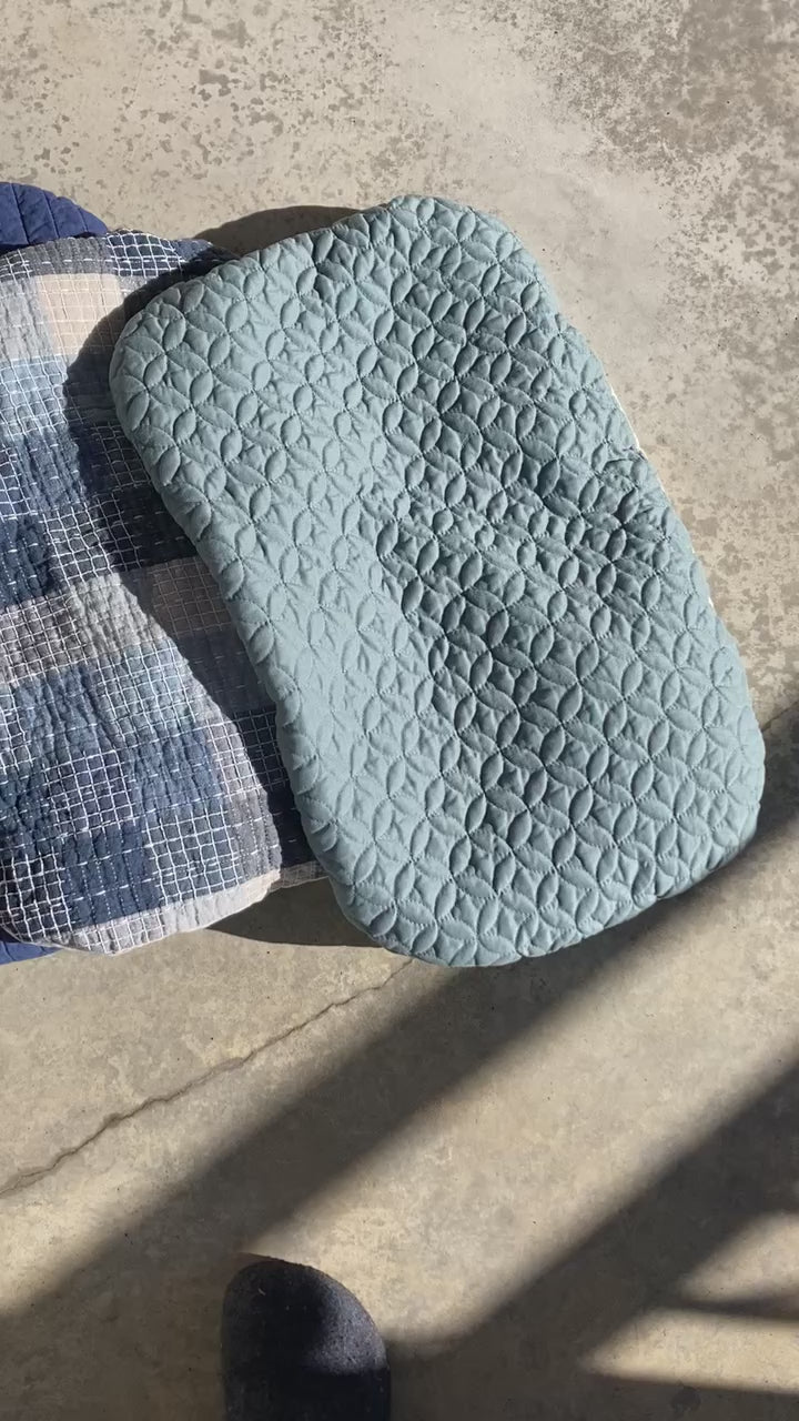 A video of the six pet pillows laid out in a line, starting with the robins egg blue and ending on the grey velvet pllow.